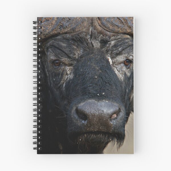 Item preview, African Buffalo designed and sold by Michael Moss Photography.