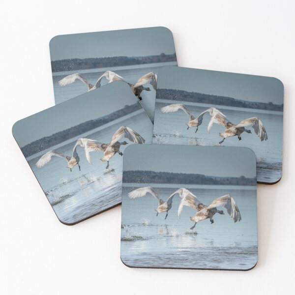Item preview, departure designed and sold by PhotoLux.