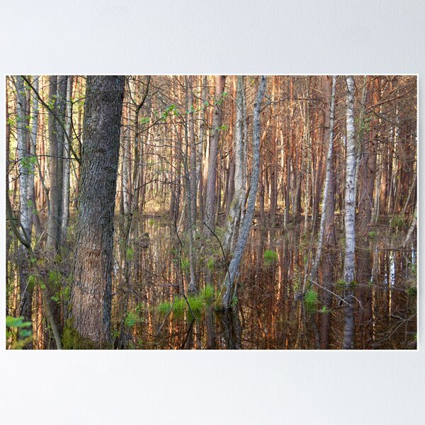Item preview, Biebrza Swamps 6 designed and sold by seawhisper.
