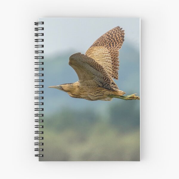 Item preview, A bittern in flight in the UK designed and sold by Itsgrimupnorth.