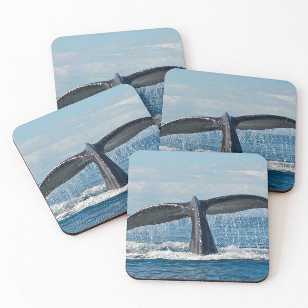 Item preview, Whale Tale designed and sold by MicrocosmFilm.
