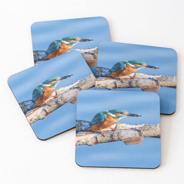 Item preview, Kingfisher with its catch on a perch designed and sold by Itsgrimupnorth.