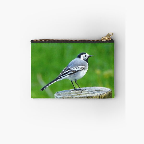 Item preview, Where does it spend this winter? designed and sold by jchanders.