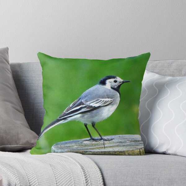 Item preview, Where does it spend this winter? designed and sold by jchanders.