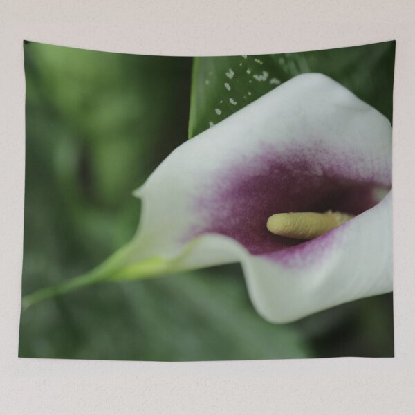 Item preview, Macro of a Calla Lily designed and sold by StampCity.