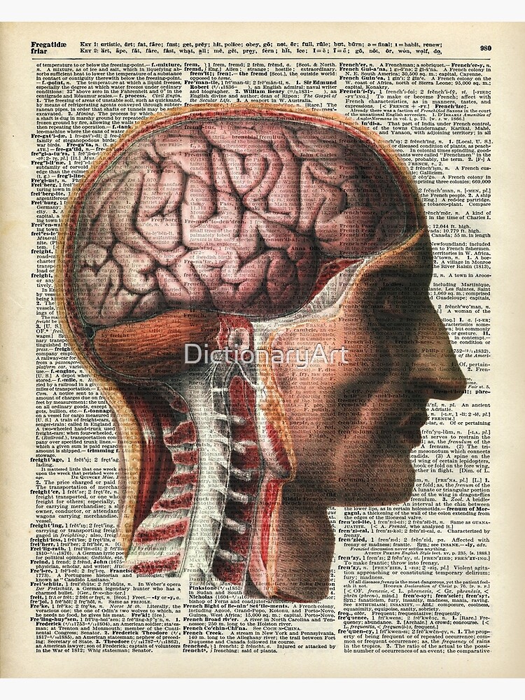 Anatomy Brain Flower Anatomy Print, Human outlets Anatomy art science wall decor,Diction