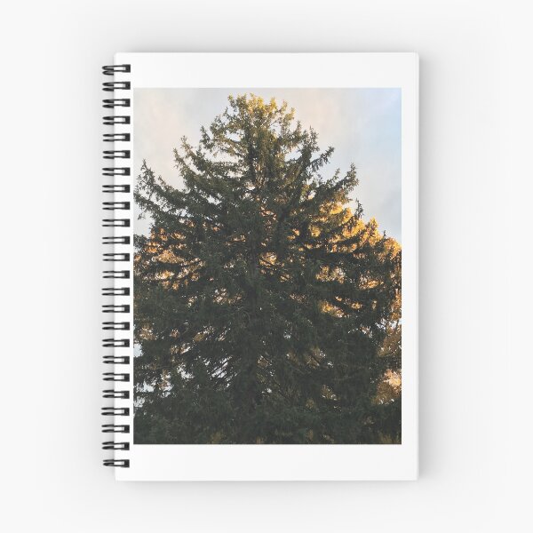 Item preview, Persistence  designed and sold by VerticalVistas.