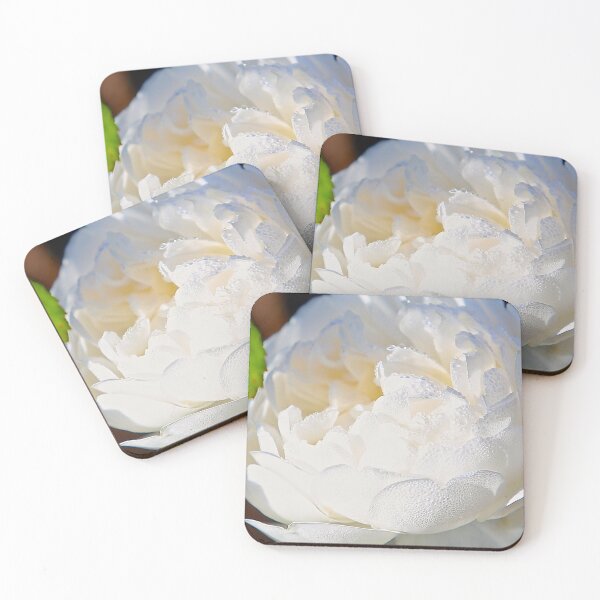 Item preview, White rose with droplets in sunshine designed and sold by NJH110.