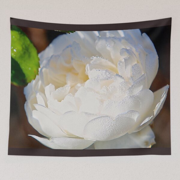 Item preview, White rose with droplets in sunshine designed and sold by NJH110.