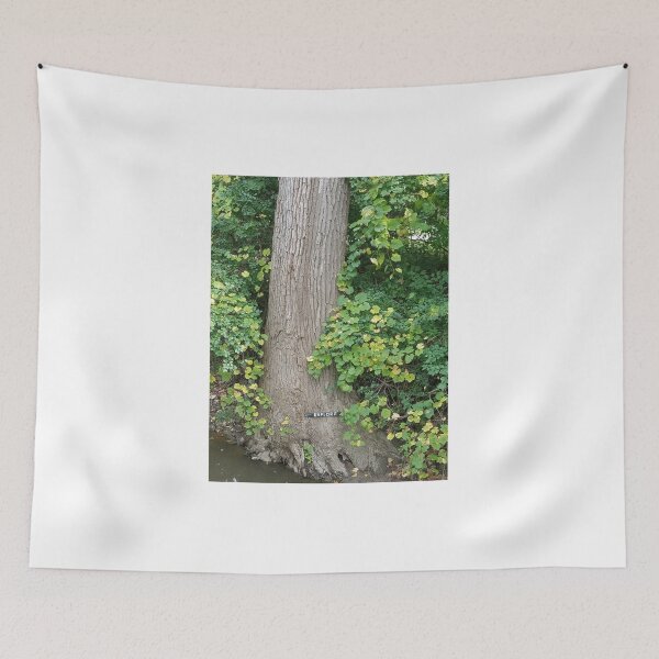Item preview, Explore designed and sold by melzie3.
