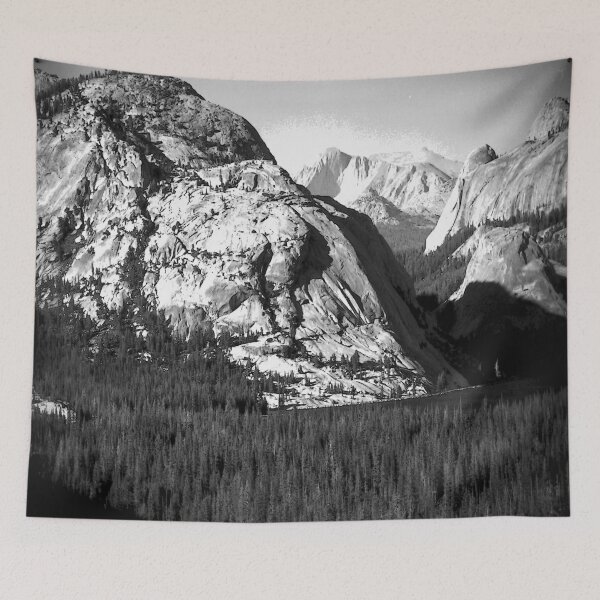 Item preview, Yosemite Teneya Lake & Canyon Plate 6 designed and sold by John Schneider.
