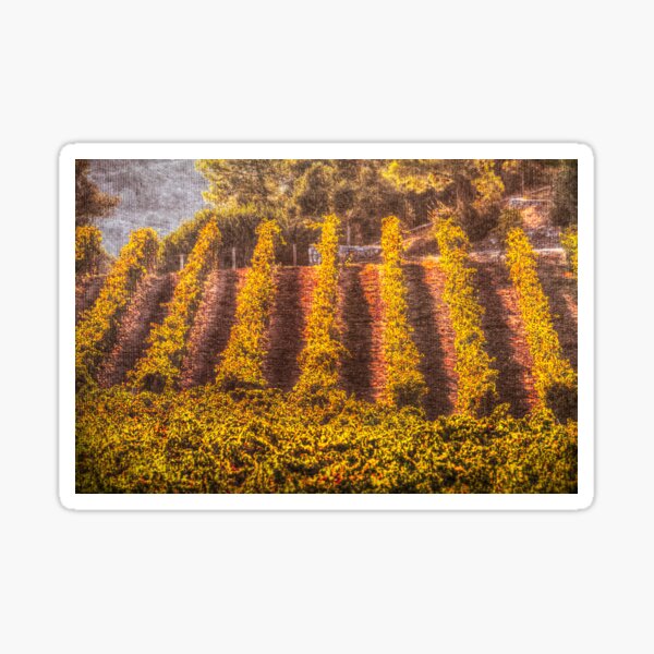 Item preview, Summer Vineyard Canvas  designed and sold by Londonimages.