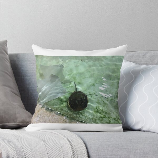 Item preview, Close designed and sold by VerticalVistas.