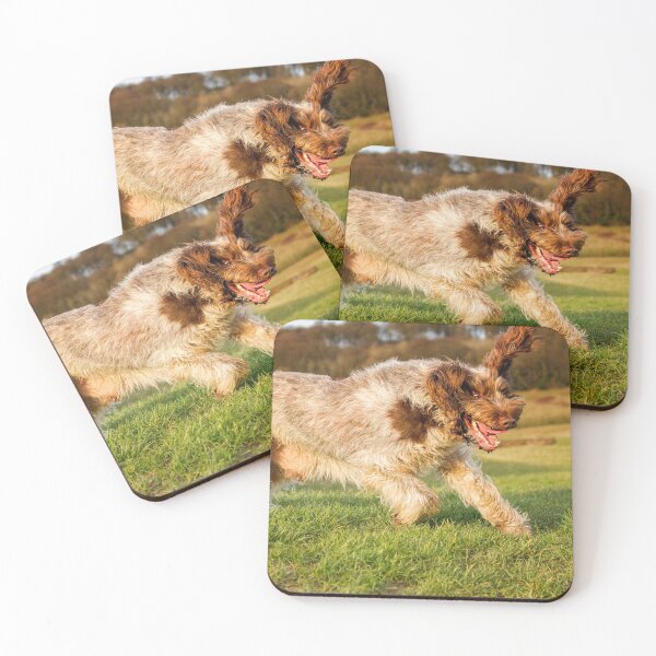 Item preview, Show your wild side Spinone by heidiannemorris © designed and sold by FOLK ART FUSION.