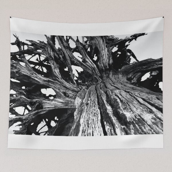 Item preview, Driftwood  designed and sold by kfd13.