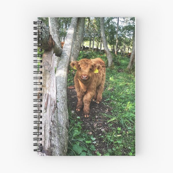 Item preview, Scottish Highland Cattle Calf 1816 designed and sold by SaarelaHighland.