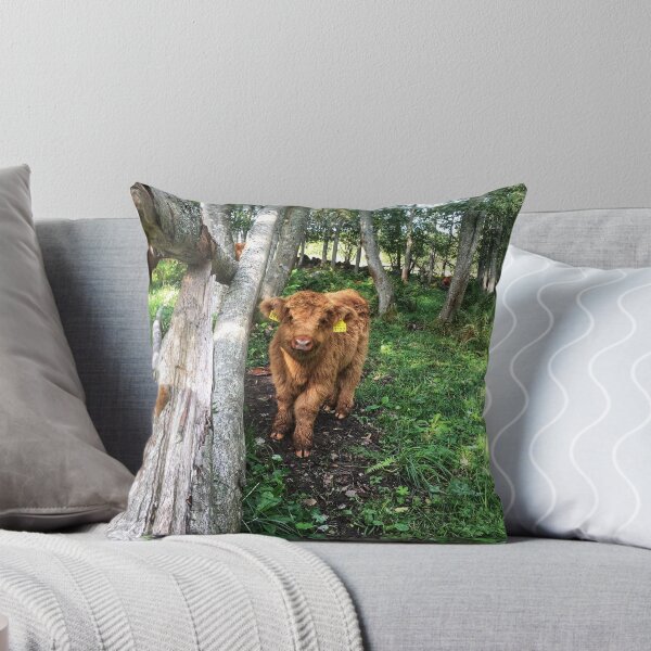 Item preview, Scottish Highland Cattle Calf 1816 designed and sold by SaarelaHighland.