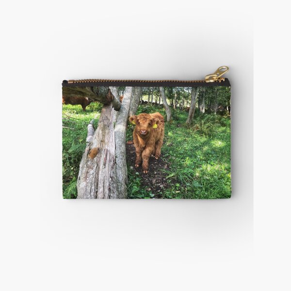 Item preview, Scottish Highland Cattle Calf 1816 designed and sold by SaarelaHighland.