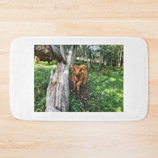 Item preview, Scottish Highland Cattle Calf 1816 designed and sold by SaarelaHighland.