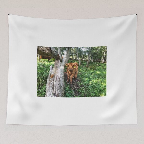 Item preview, Scottish Highland Cattle Calf 1816 designed and sold by SaarelaHighland.