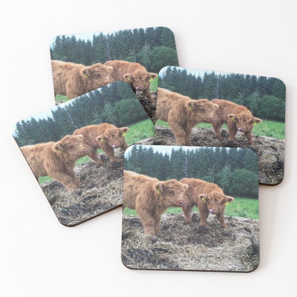 Item preview, Scottish Highland Cattle Calves 1817 designed and sold by SaarelaHighland.