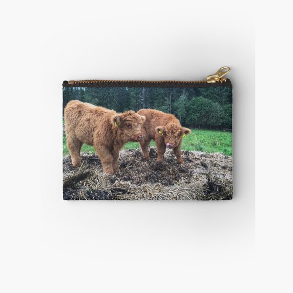 Item preview, Scottish Highland Cattle Calves 1817 designed and sold by SaarelaHighland.