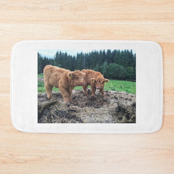 Item preview, Scottish Highland Cattle Calves 1817 designed and sold by SaarelaHighland.