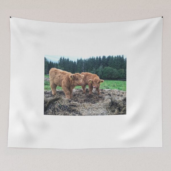 Item preview, Scottish Highland Cattle Calves 1817 designed and sold by SaarelaHighland.
