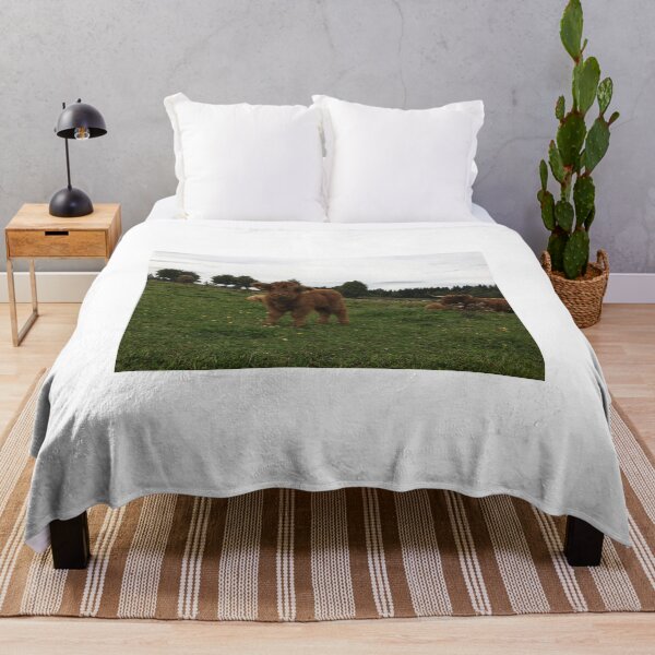 Item preview, Scottish Highland Cattle Calf 1818 designed and sold by SaarelaHighland.