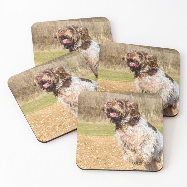 Item preview,  Spinone have been seen flying back to the mountain designed and sold by FOLK ART FUSION.