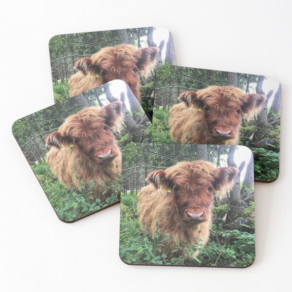 Item preview, Scottish Highland Cattle Calf 1820 designed and sold by SaarelaHighland.