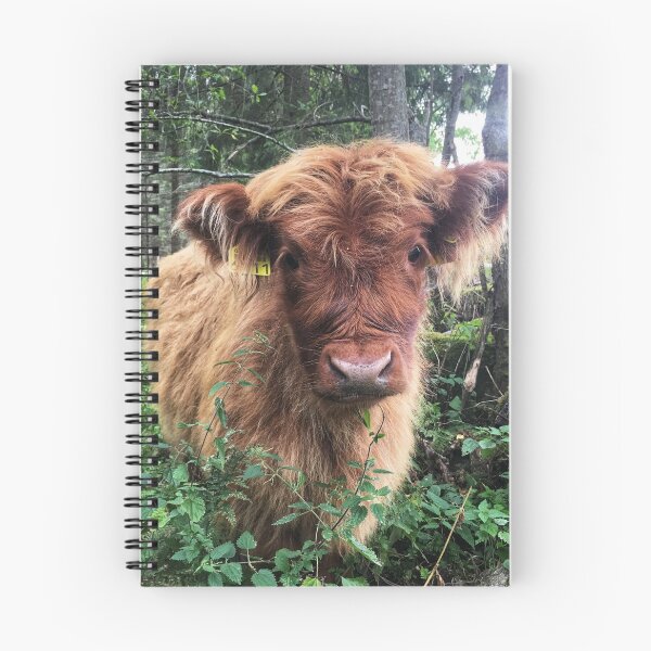 Item preview, Scottish Highland Cattle Calf 1820 designed and sold by SaarelaHighland.