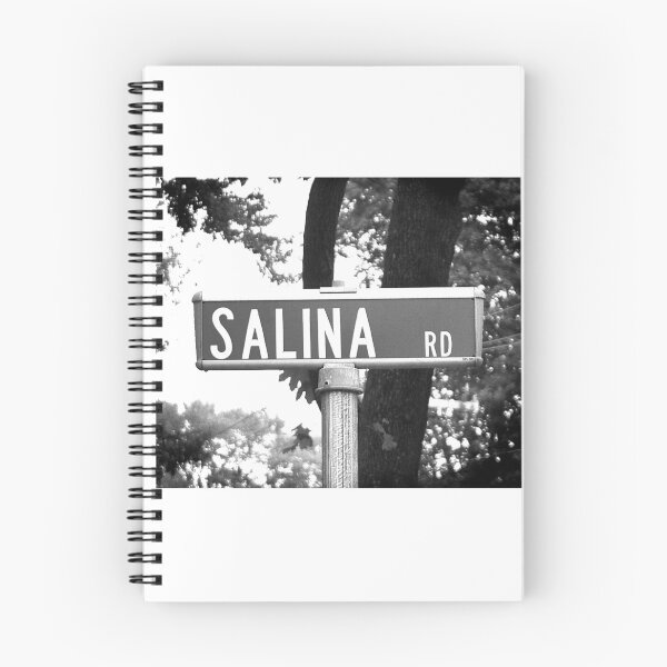 Item preview, A Street Sign Named Salina designed and sold by jcwest.