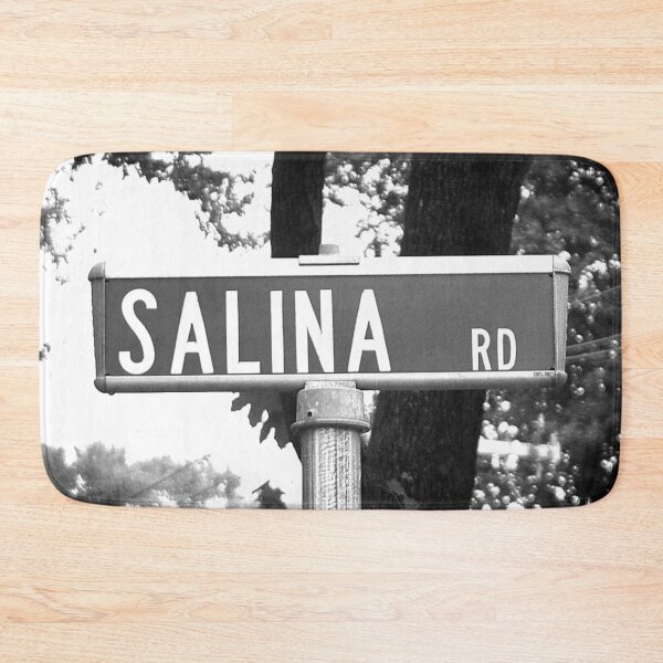 Item preview, A Street Sign Named Salina designed and sold by jcwest.