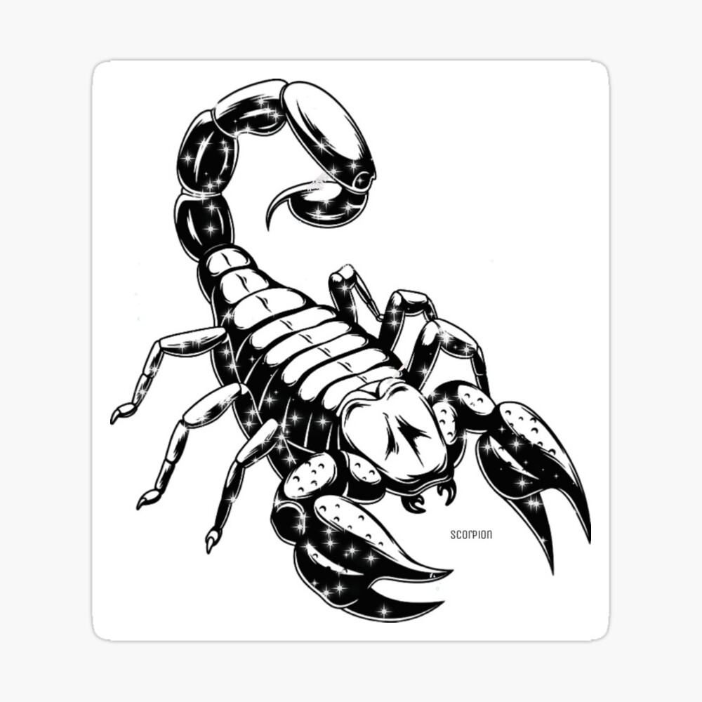 Tattoo Sticker 3D Men Fashion Cool Funny Scorpion King Temporary Waterproof  Tattoo Sticker - AliExpress