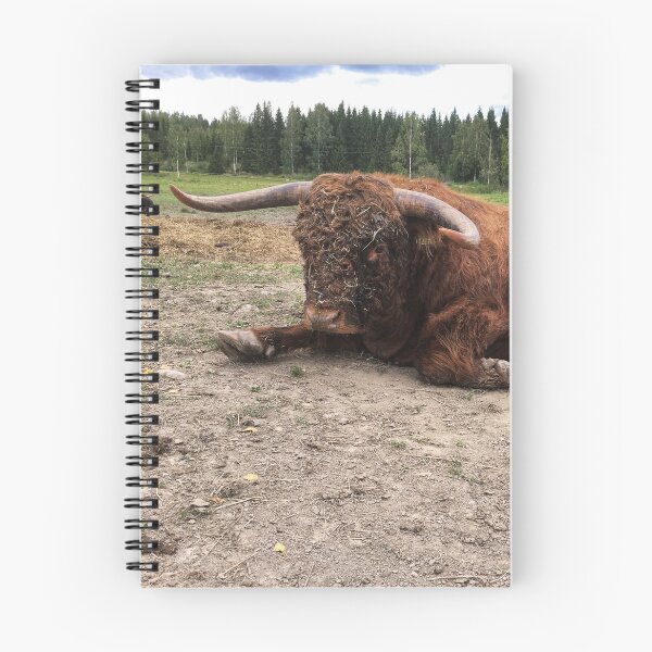 Item preview, Scottish Highland Cattle Bull 1809 designed and sold by SaarelaHighland.