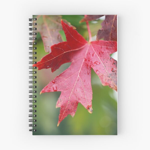 Item preview, Red Maple Leaf designed and sold by StampCity.