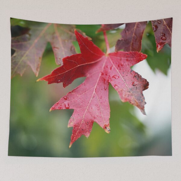 Item preview, Red Maple Leaf designed and sold by StampCity.