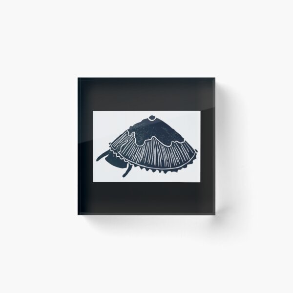 Item preview, Keyhole Limpet designed and sold by TeezyDeezyCo.