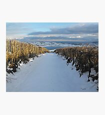 Old lane in snow Photographic Print