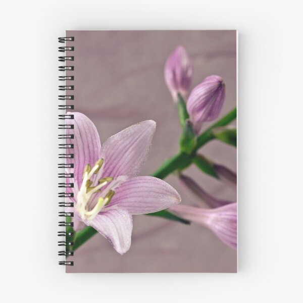 Item preview, Hosta Blossom And Buds designed and sold by Sandra Foster.