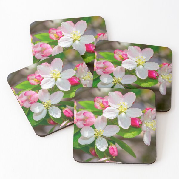 Item preview, Flowering Cherry Tree Blossoms designed and sold by srgreen.