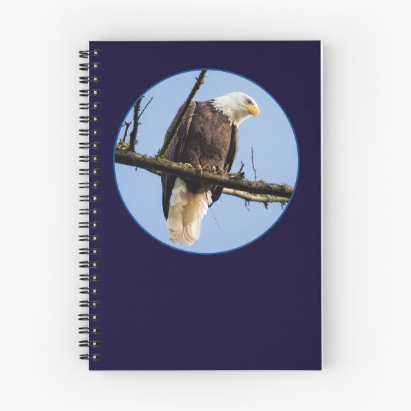 Item preview, Bald Eagle Watches a Pond designed and sold by AvocaSpring.