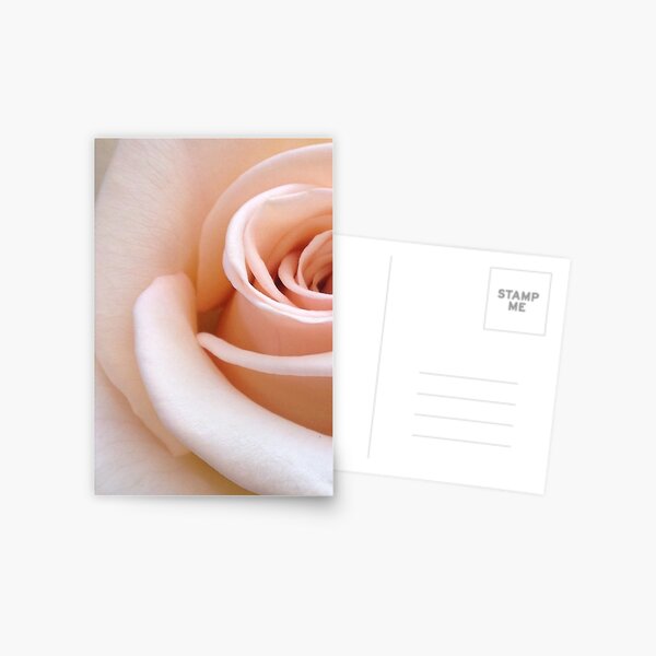 Item preview, Light Pink Rose Flower designed and sold by newburyboutique.