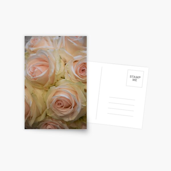 Item preview, Pink & White Roses Wedding Flowers  designed and sold by newburyboutique.