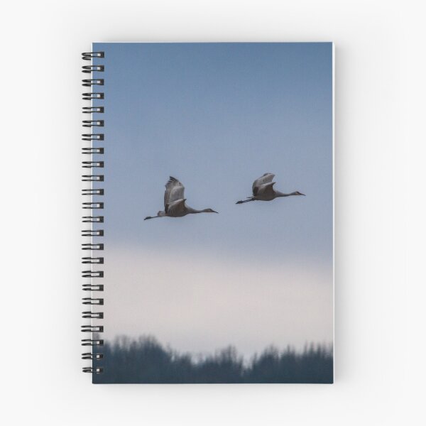 Item preview, Sandhill Cranes en vuelo designed and sold by AvocaSpring.