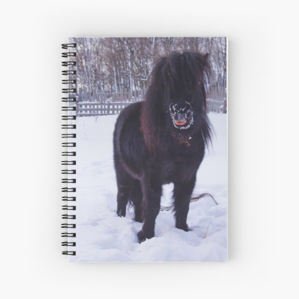 Aperçu de l'œuvre Blagues sur les chevaux créée et vendue par colorfulbundles.