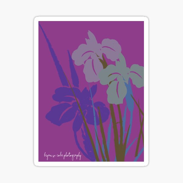 Purple Iris Trio Tokyo Sticker