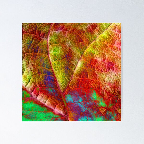 Artikelvorschau, Tropicana - Reef No.2 entworfen und verkauft von graphicscapes.