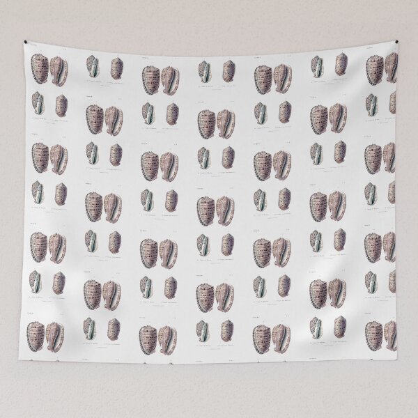 Item preview, Sea Shells Antique Old Illustration designed and sold by simpson92.